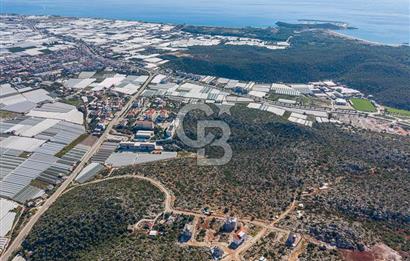 ANTALYA DEMRE BOZDAĞ DA 809 m² SATILIK ARSA