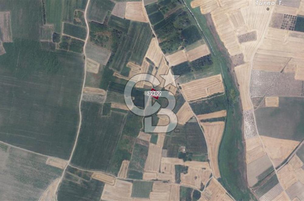 CB BLACK'TAN HARMANLI'DA UFAK PARÇA