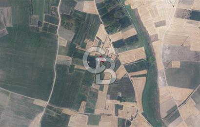 CB BLACK'TAN HARMANLI'DA UFAK PARÇA