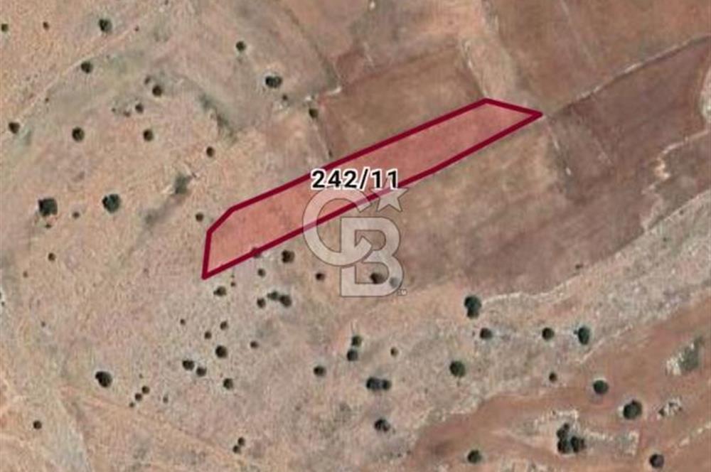 Antalya Korkuteli Taşkesiği'nde Satılık Tarla