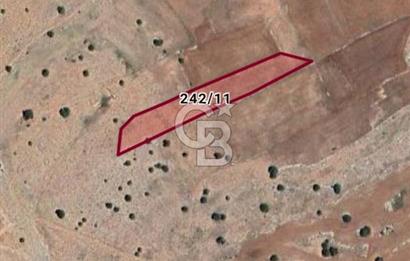 Antalya Korkuteli Taşkesiği'nde Satılık Tarla