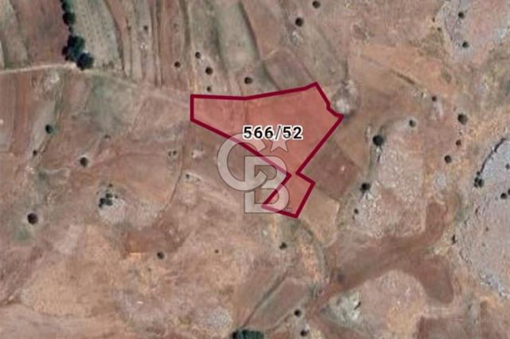 Antalya Korkuteli Armutpınarı'nda Satılık Tarla