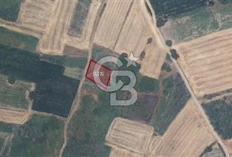 CB BLACK'TAN HARMANLI'DA UFAK PARÇA - 2 - 314207