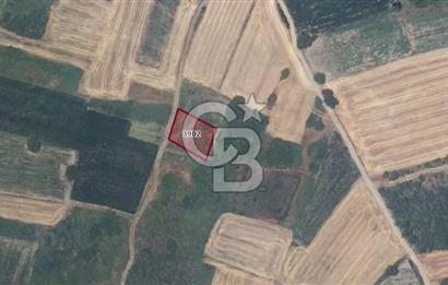 CB BLACK'TAN HARMANLI'DA UFAK PARÇA