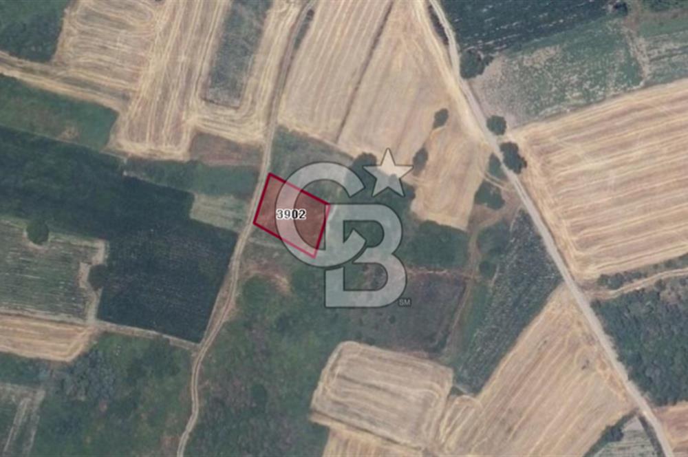 CB BLACK'TAN HARMANLI'DA UFAK PARÇA