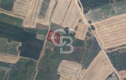 CB BLACK'TAN HARMANLI'DA UFAK PARÇA