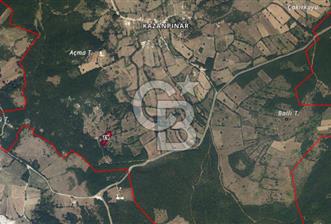 CB BLACK KAZANPINAR SATILIK 3300M2 ARAZİ - 3 - 314212