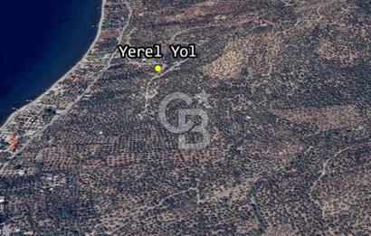 Ayvacık Ahmetçe Köyü'nde 621 m²ZeytinlikSahile 400m,Anayol 800m