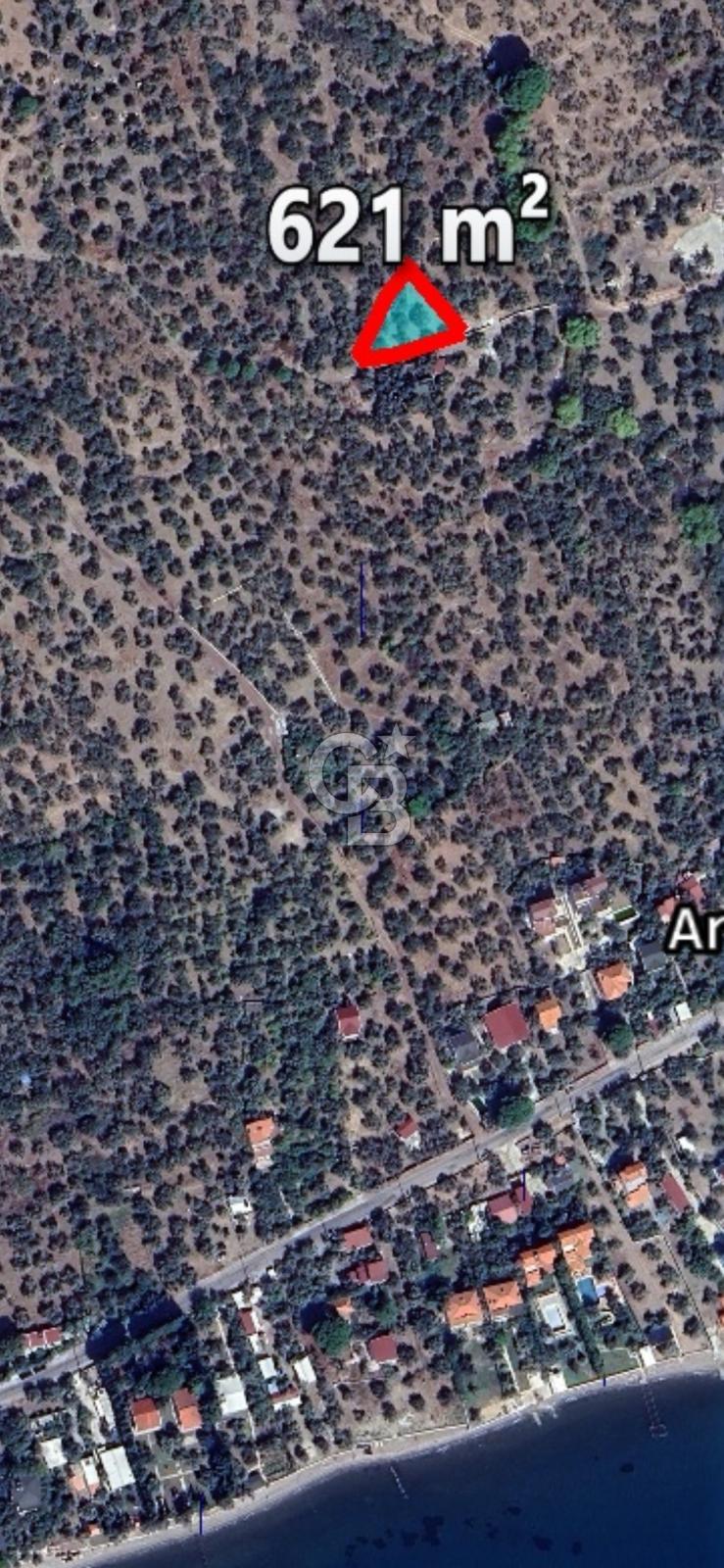 Ayvacık Ahmetçe Köyü'nde 621 m²ZeytinlikSahile 400m,Anayol 800m