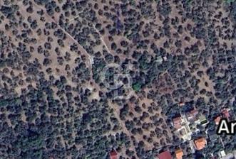 Ayvacık Ahmetçe Köyü'nde 621 m²ZeytinlikSahile 400m,Anayol 800m - 5 - 314273