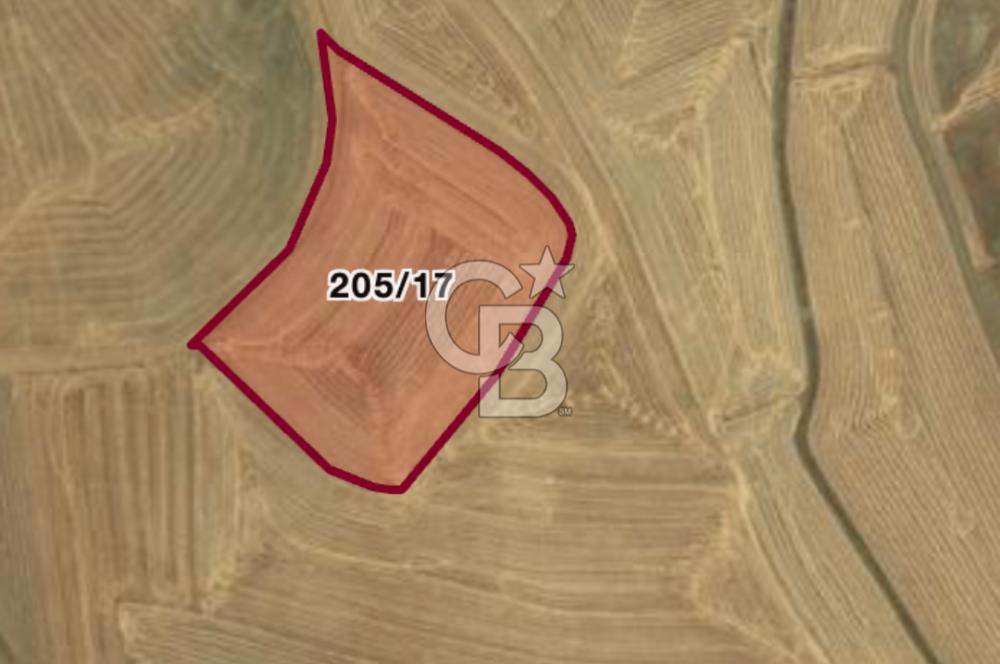 Haymana Culuk'ta Tek ve Kök Tapu Fırsat Tarla!