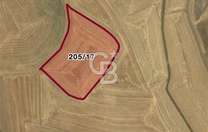 Haymana Culuk'ta Tek ve Kök Tapu Fırsat Tarla!