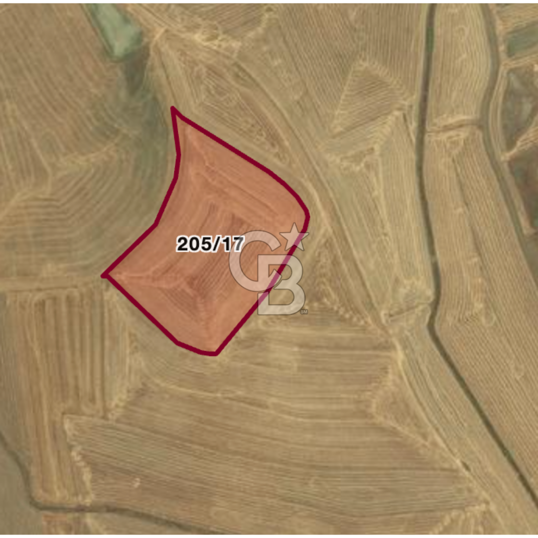 Haymana Culuk'ta Tek ve Kök Tapu Fırsat Tarla!