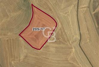 Haymana Culuk'ta Tek ve Kök Tapu Fırsat Tarla! - 1 - 314296