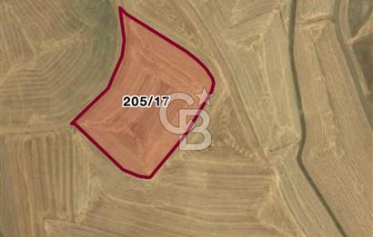 Haymana Culuk'ta Tek ve Kök Tapu Fırsat Tarla!