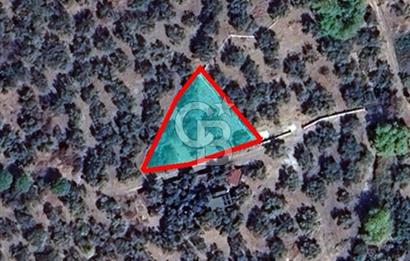 Ayvacık Ahmetçe Köyü'nde 621 m²ZeytinlikSahile 400m,Anayol 800m