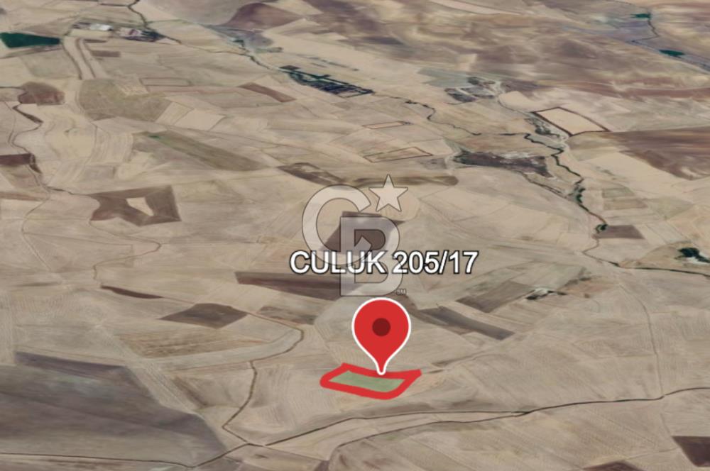 Haymana Culuk'ta Tek ve Kök Tapu Fırsat Tarla!