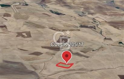 Haymana Culuk'ta Tek ve Kök Tapu Fırsat Tarla!