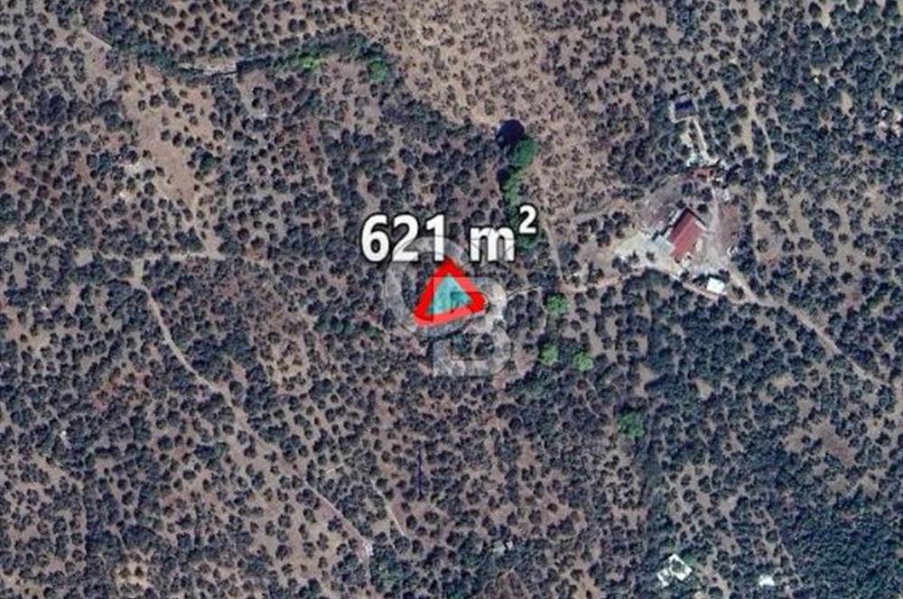 Ayvacık Ahmetçe Köyü'nde 621 m²ZeytinlikSahile 400m,Anayol 800m