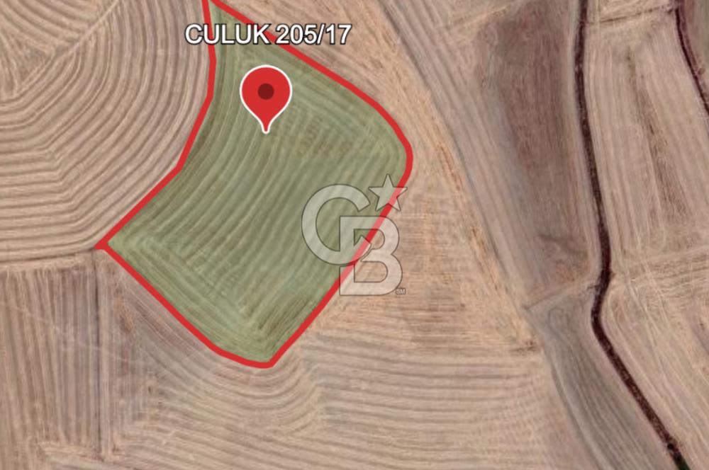 Haymana Culuk'ta Tek ve Kök Tapu Fırsat Tarla!