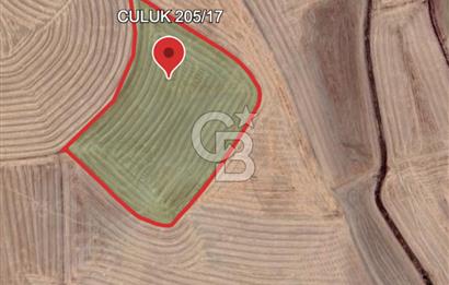 Haymana Culuk'ta Tek ve Kök Tapu Fırsat Tarla!