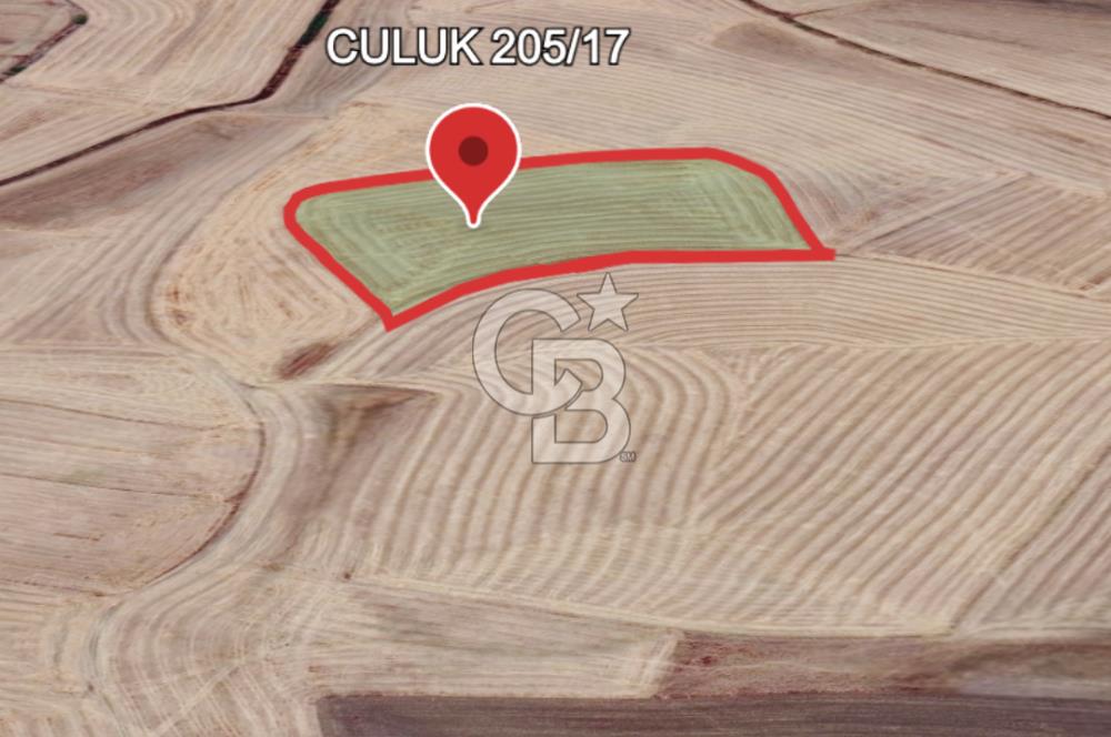 Haymana Culuk'ta Tek ve Kök Tapu Fırsat Tarla!