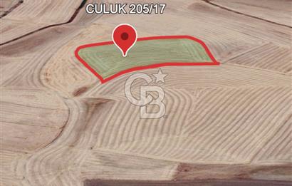 Haymana Culuk'ta Tek ve Kök Tapu Fırsat Tarla!