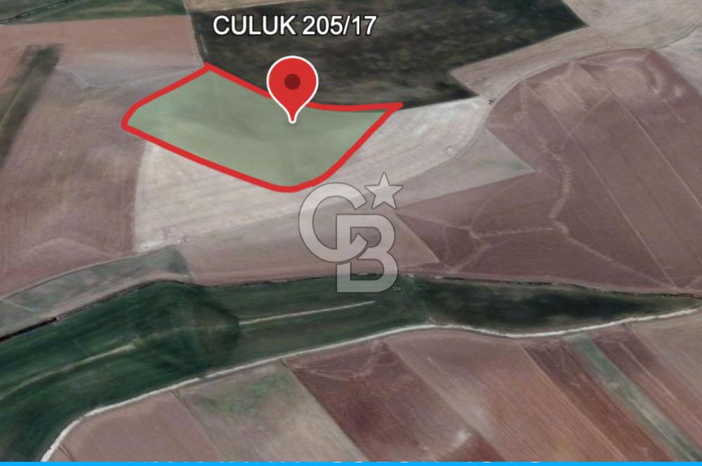 Haymana Culuk'ta Tek ve Kök Tapu Fırsat Tarla!