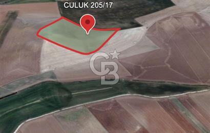 Haymana Culuk'ta Tek ve Kök Tapu Fırsat Tarla!