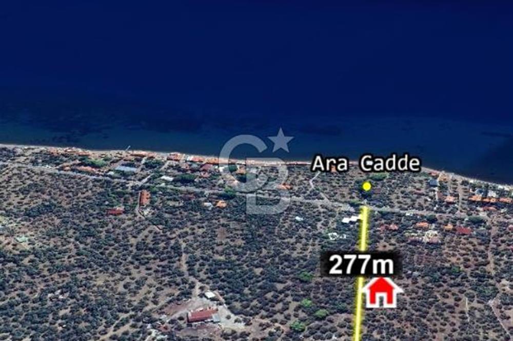 Ayvacık Ahmetçe Köyü'nde 621 m²ZeytinlikSahile 400m,Anayol 800m