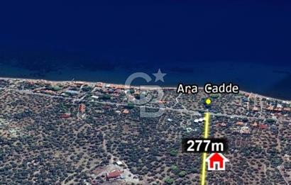 Ayvacık Ahmetçe Köyü'nde 621 m²ZeytinlikSahile 400m,Anayol 800m