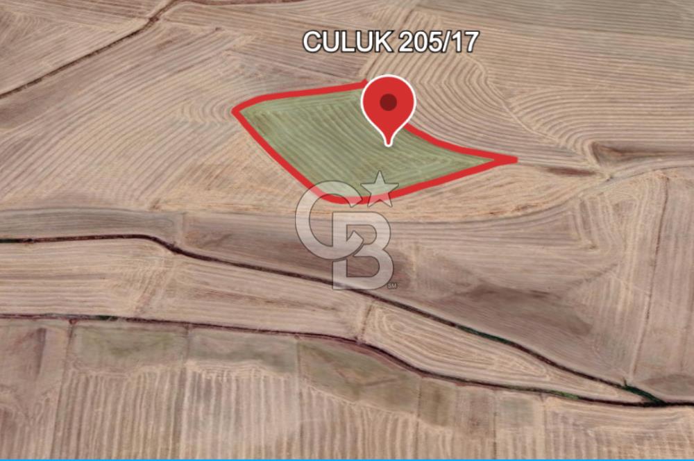 Haymana Culuk'ta Tek ve Kök Tapu Fırsat Tarla!