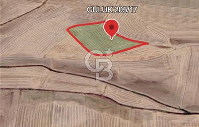 Haymana Culuk'ta Tek ve Kök Tapu Fırsat Tarla!