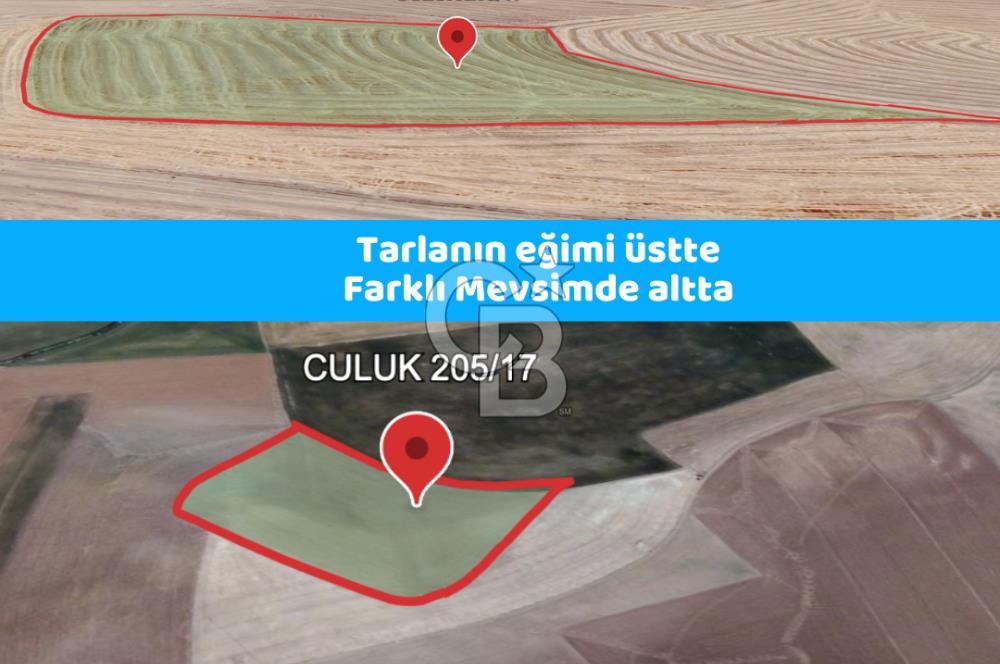 Haymana Culuk'ta Tek ve Kök Tapu Fırsat Tarla!