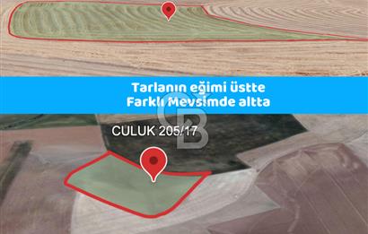 Haymana Culuk'ta Tek ve Kök Tapu Fırsat Tarla!