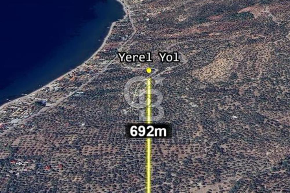 Ayvacık Ahmetçe Köyü'nde 621 m²ZeytinlikSahile 400m,Anayol 800m
