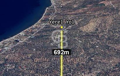 Ayvacık Ahmetçe Köyü'nde 621 m²ZeytinlikSahile 400m,Anayol 800m