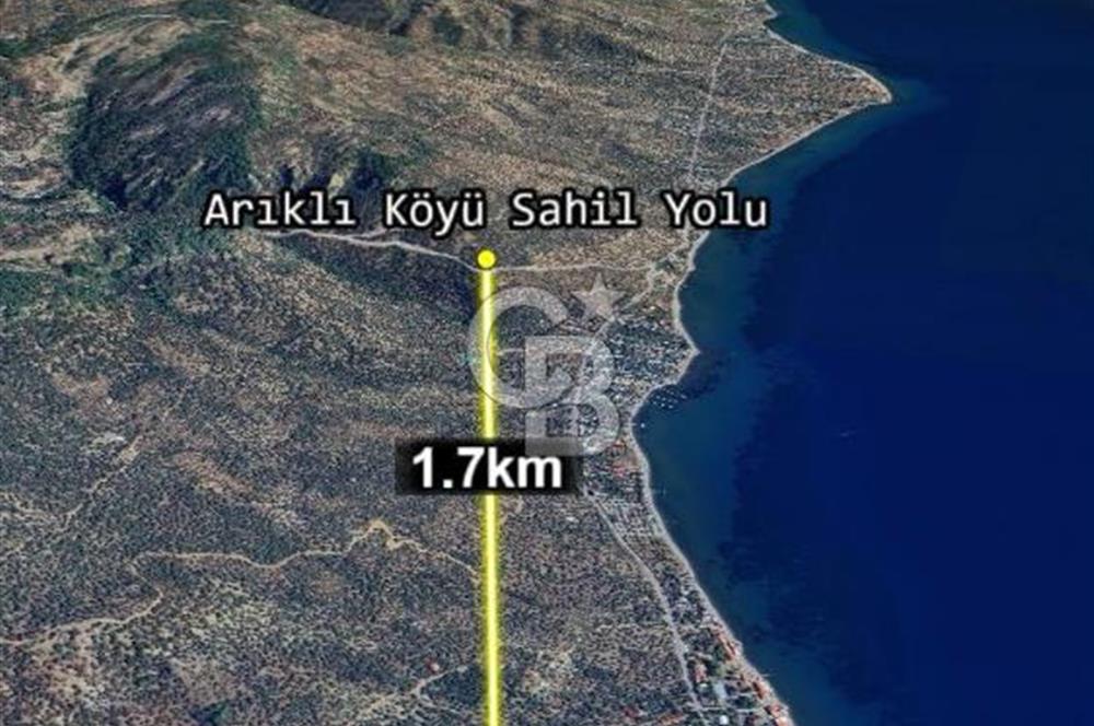 Ayvacık Ahmetçe Köyü'nde 621 m²ZeytinlikSahile 400m,Anayol 800m