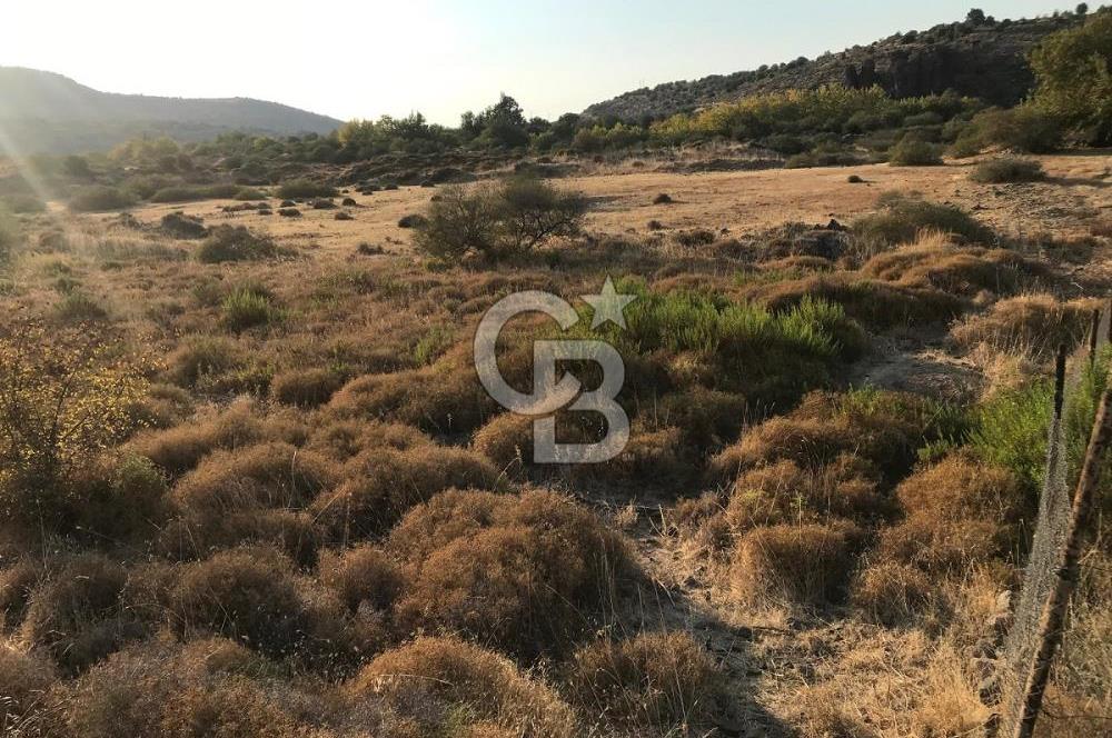 CB Odak'tan Aliağa Karakuzu'da tek tapu satılık tarla