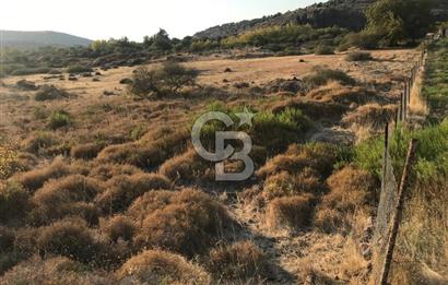 CB Odak'tan Aliağa Karakuzu'da tek tapu satılık tarla