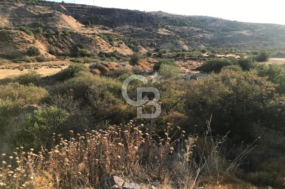 CB Odak'tan Aliağa Karakuzu'da tek tapu satılık tarla