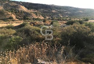 CB Odak'tan Aliağa Karakuzu'da tek tapu satılık tarla - 7 - 314272