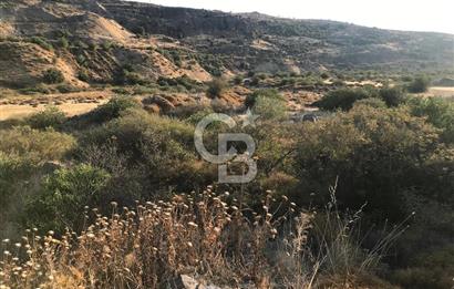 CB Odak'tan Aliağa Karakuzu'da tek tapu satılık tarla