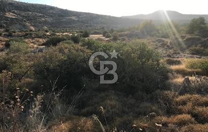 CB Odak'tan Aliağa Karakuzu'da tek tapu satılık tarla