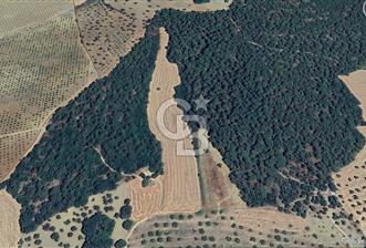 ÇANAKKALE ECEABAT KEMALPAŞA MAHALLESİNDE SATILIK TARLA HİSSESİ - 6 - 314328