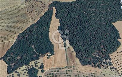 ÇANAKKALE ECEABAT KEMALPAŞA MAHALLESİNDE SATILIK TARLA HİSSESİ