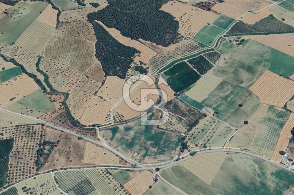 ÇANAKKALE ECEABAT KEMALPAŞA MAHALLESİNDE SATILIK TARLA HİSSESİ