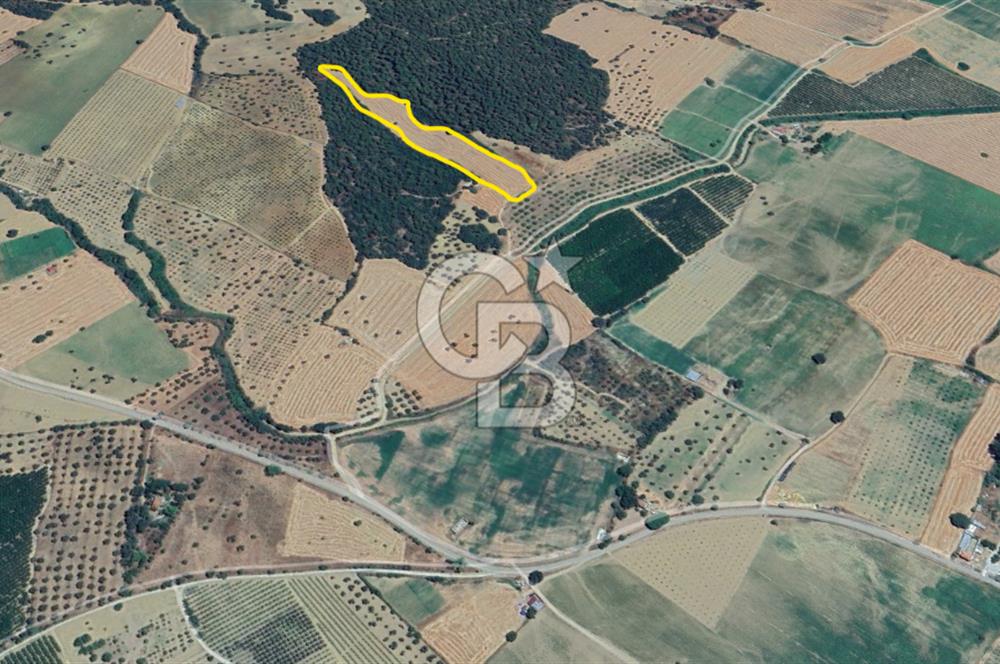 ÇANAKKALE ECEABAT KEMALPAŞA MAHALLESİNDE SATILIK TARLA HİSSESİ