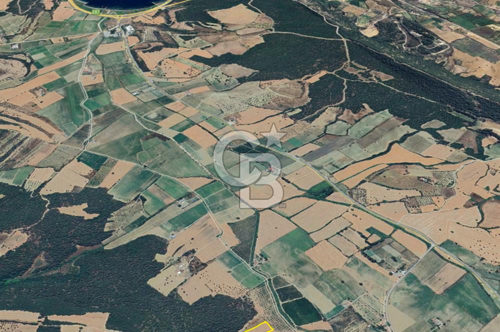 ÇANAKKALE ECEABAT KEMALPAŞA MAHALLESİNDE SATILIK TARLA HİSSESİ