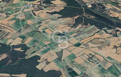 ÇANAKKALE ECEABAT KEMALPAŞA MAHALLESİNDE SATILIK TARLA HİSSESİ